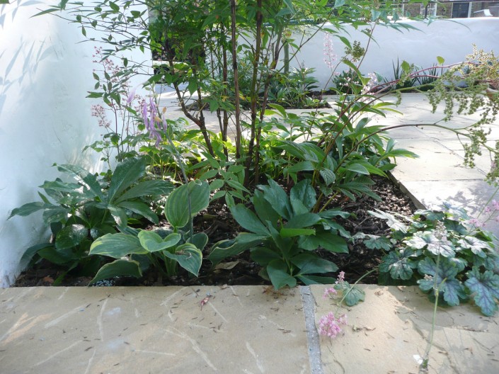 005GeorgianPeriodGardenCG